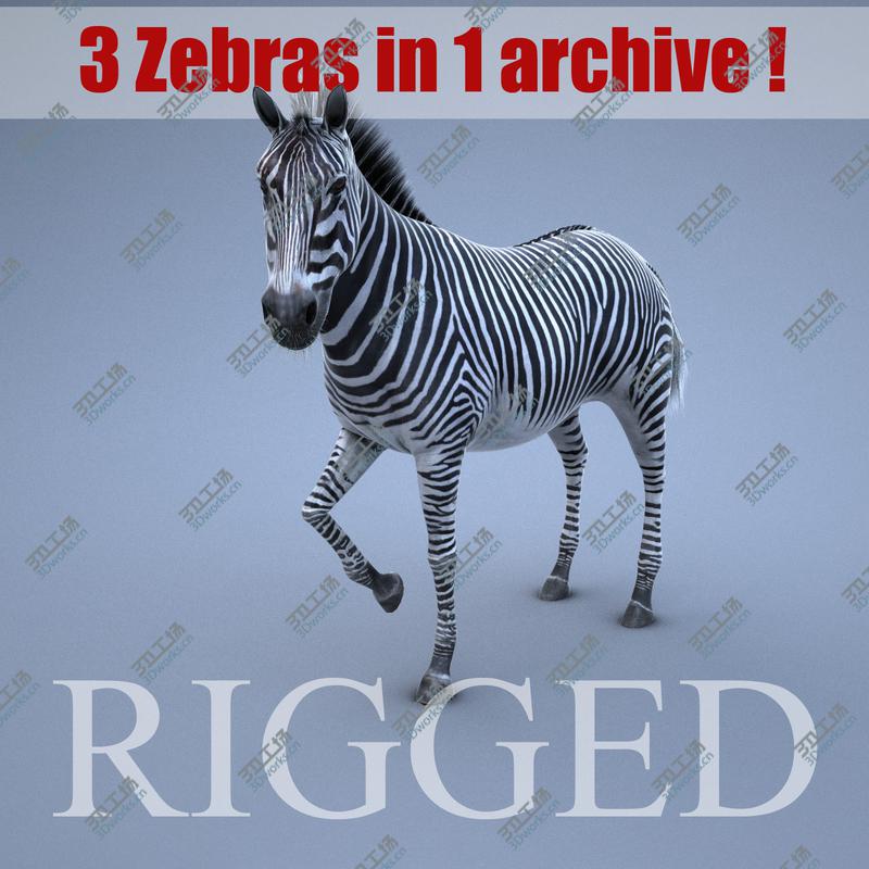 images/goods_img/202104093/Zebra RIGGED/1.jpg